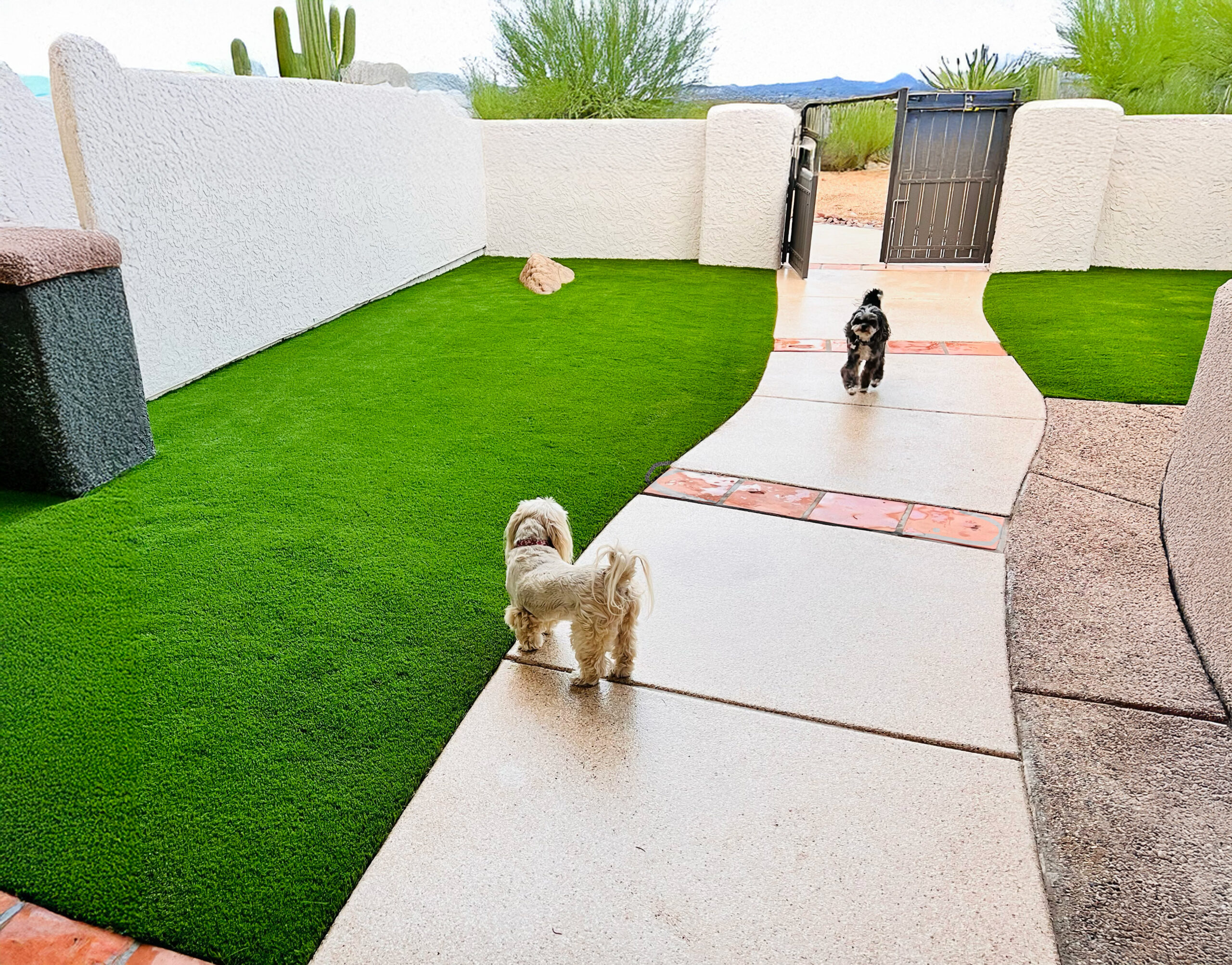 Artificial Grass Pet Area Installation